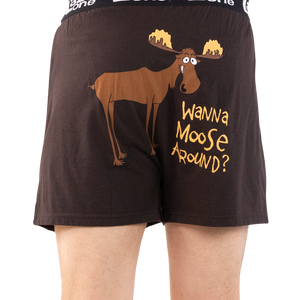 Wanna Moose Around? Boxer