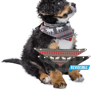 Moose Fair Isle | Dog Bandana