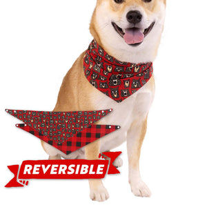 Don't Wake The Bear Reversible Dog Bandana