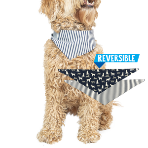 Labs | Dog Bandana