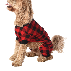 Bear Cheeks Dog Onesie Flapjack